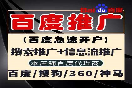 搜索引擎营销（SEM）在本地市场的投放案例